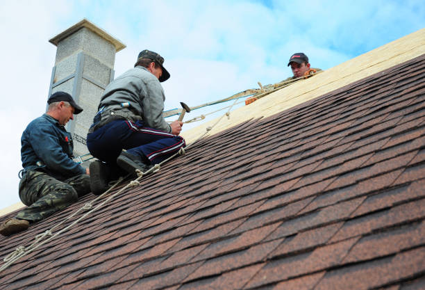 Best Gutter Installation and Roofing  in Burton, OH